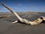 galerie Mt.Taranaki