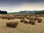 galerie Catlins Coast