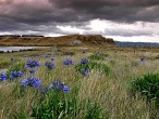 galerie Cape Palliser