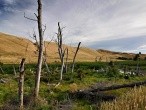 galerie Cape Palliser