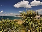 galerie Mt.Maunganui