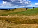 galerie Mt.Maunganui