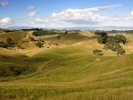 galerie Mt.Maunganui