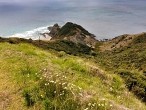 galerie Cape Reinga