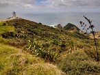 galerie Cape Reinga