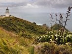 galerie Cape Reinga