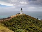 galerie Cape Reinga