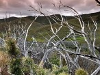 galerie Cape Reinga