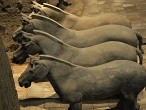 galerie Terracotta Army
