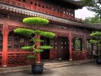 galerie Yuyuan garden