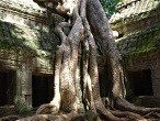 galerie Ta Prohm