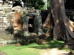 galerie Ta Prohm