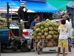 galerie Koh Kong