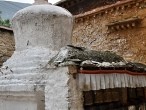 galerie Drepung Monastery