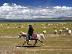 galerie Namtso Lake