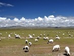 galerie Namtso Lake