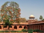 galerie Taj Mahal