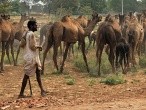 galerie Top Foto India