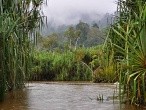 galerie Lake Chini