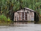 galerie Lake Chini