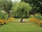 galerie srinagar