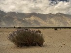 galerie nubra valley