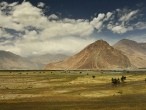 galerie nubra valley