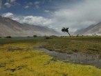 galerie nubra valley