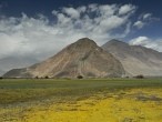 galerie nubra valley