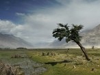 galerie nubra valley