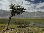 galerie nubra valley