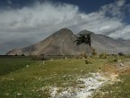 galerie nubra valley