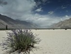 galerie nubra valley