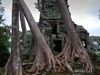 Bayon