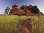 galerie devils marbles