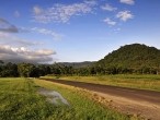 galerie cape tribulation