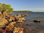 galerie fraser island