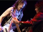 Galerie L.A.Guns