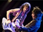 Galerie L.A.Guns