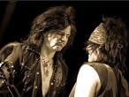 Galerie L.A.Guns