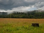 Galerie Gauja NP