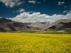 Nubra Valley