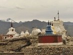 Phyang festival Ladakh