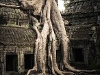 Angkor Wat