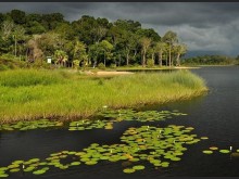 Tasek Merinbun