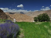 Hemis monastery