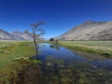 Shayok valley