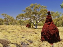 NP Karijini