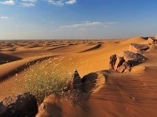 dubai safari