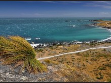 Cape Palliser